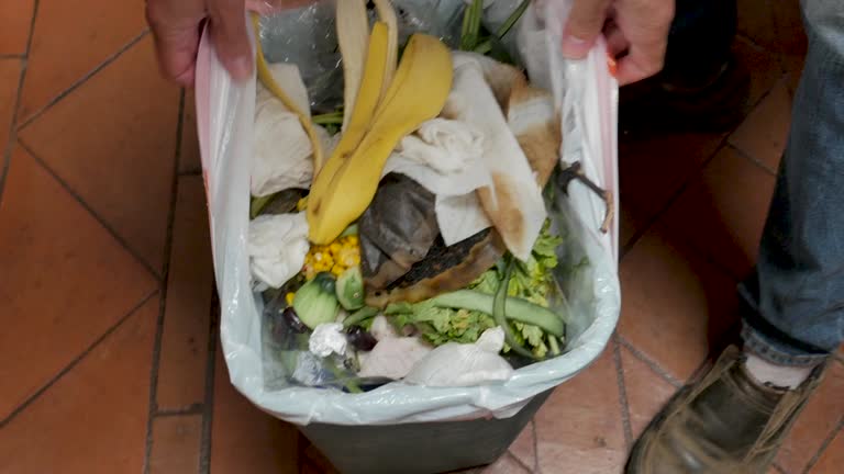 Best Same-Day Junk Removal Services  in Kasson, MN